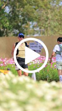 BIB:  <button type="button" onclick="openModal(27588037)" class="btn btn-primary btn-sm float-right" data-toggle="modal" data-target=".modal-high-quality">
                <i class="fa fa-download"></i> Download
                </button>